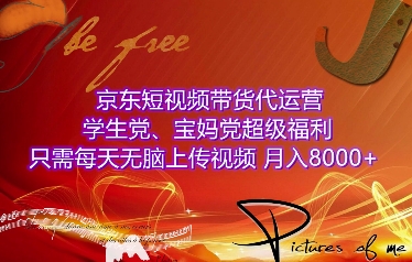 京东短视频带货代运营，学生党、宝妈党超级福利，只需每天无脑上传视频，月入8000+【仅揭秘】-梦帆创业网