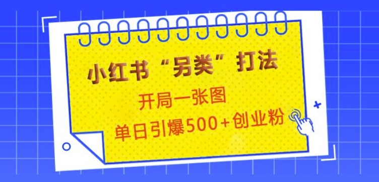 小红书“另类”打法，开局一张图，单日引爆500+精准创业粉【揭秘】-梦帆创业网