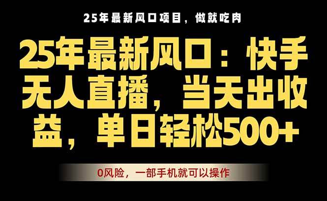 （16007期）25年最新无人直播玩法，当天秒出单，一部手机就可操作-梦帆创业网
