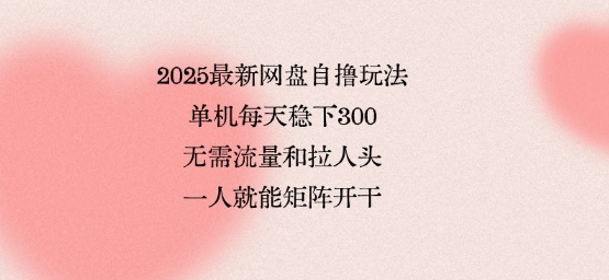 2025最新网盘自撸玩法，单机每天稳下3张，无需流量和拉人头，一个人就可轻松矩阵，全网独一份【揭秘】-梦帆创业网