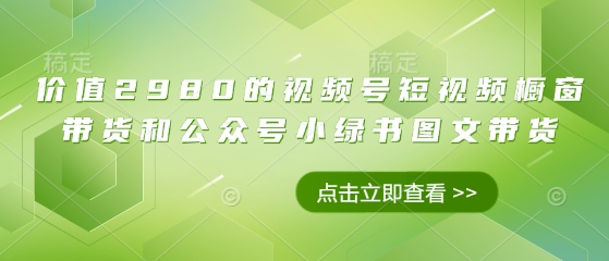 价值2980的视频号短视频橱窗带货和公众号小绿书图文带货-梦帆创业网