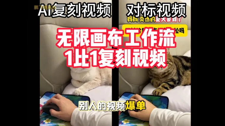 宠物带货视频复刻，无限画布工作流1比1，不用拍摄、不用布景、不用真人出镜，几分钟就能做出一条专业带货视频-梦帆创业网