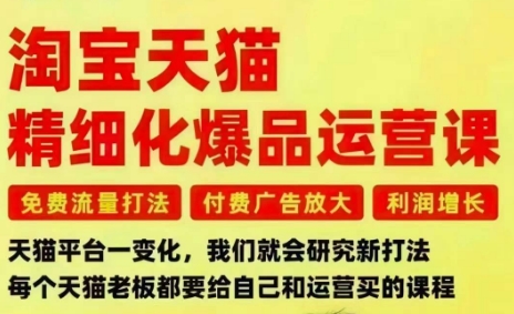 淘宝天猫精细化爆品运营课，免费流量打法-付费广告放大-利润增长-三大核心痛点，一次全部解决-梦帆创业网