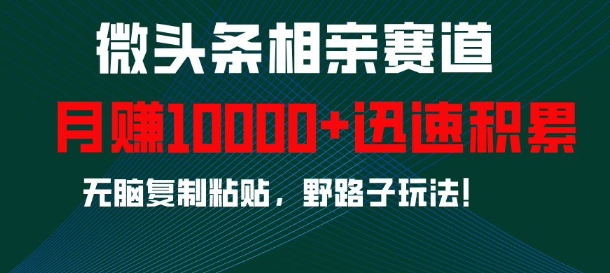 微头条相亲赛道，迅速积累，无脑复制粘贴，野路子玩法，月入1w-梦帆创业网