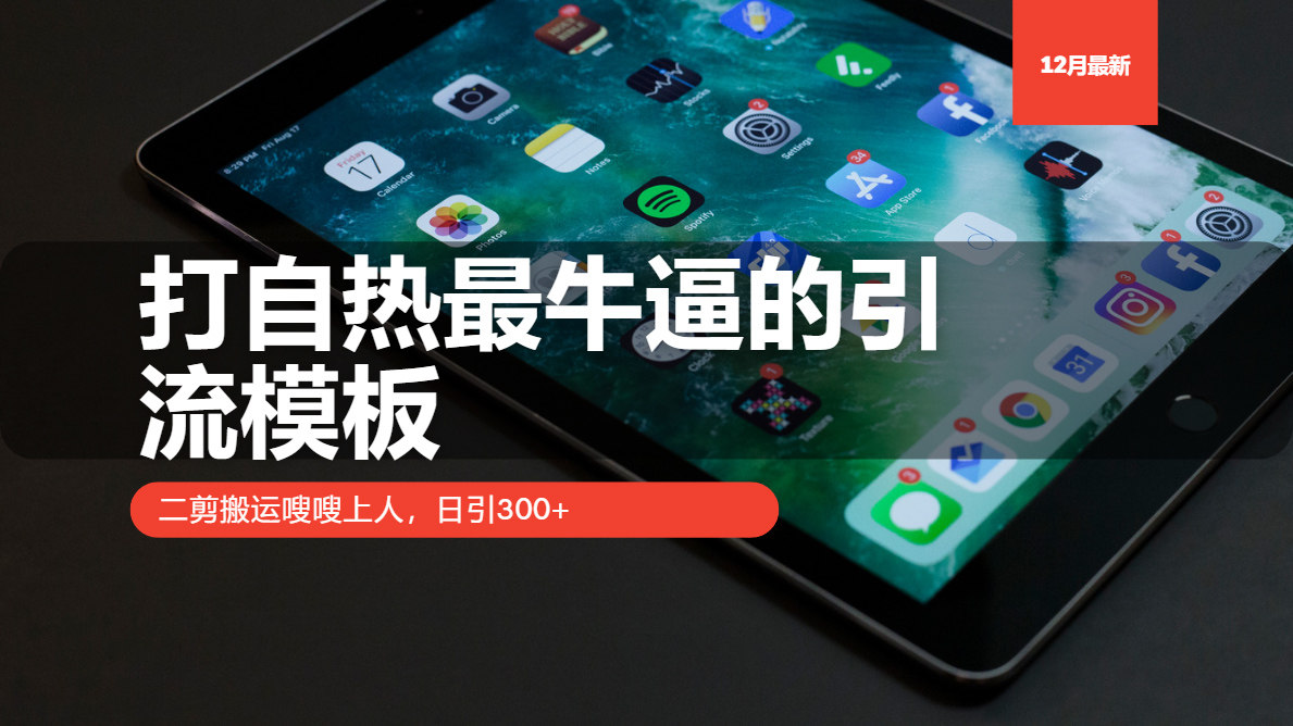 （13654期）打自热最牛逼的引流模板，二剪搬运嗖嗖上人，日引300+-梦帆创业网