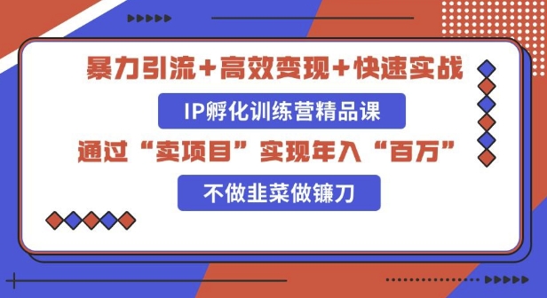 知识付费独家玩法：精准引流+高效变现，简单复制成功模式，最新IP共创导师训练营玩法-梦帆创业网