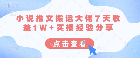 小说推文搬运大佬7天收益1W+实操经验分享-梦帆创业网