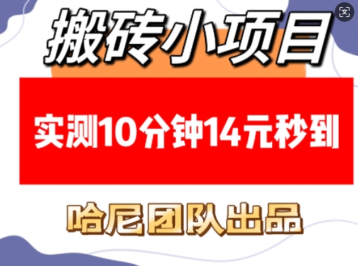 搬砖小项目，实测10分钟14元秒到，每天稳定几张(赠送必看稳定)-梦帆创业网