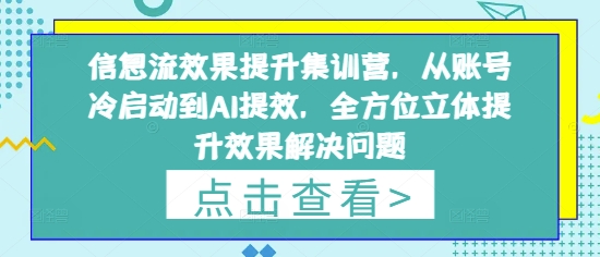 信息流效果提升集训营，从账号冷启动到AI提效，全方位立体提升效果解决问题-梦帆创业网