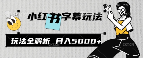 小红书字幕玩法，玩法全解析，月入2000+-梦帆创业网