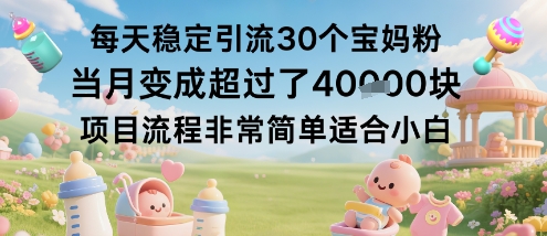 每天稳定引流30个宝妈粉当月变成超过了1W+项目流程非常简单适合小白-梦帆创业网