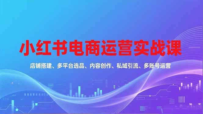 （16695期）小红书电商运营实战课，店铺搭建、多平台选品、内容创作、私域引流、多账号运营等玩法-梦帆创业网