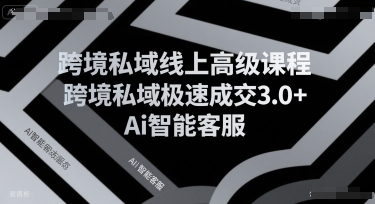 跨境私域线上高级课程，跨境私域极速成交3.0+Ai智能客服-梦帆创业网