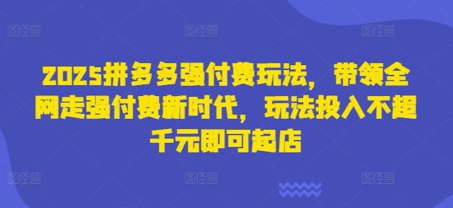 2025拼多多强付费玩法，带领全网走强付费新时代，玩法投入不超千元即可起店-梦帆创业网
