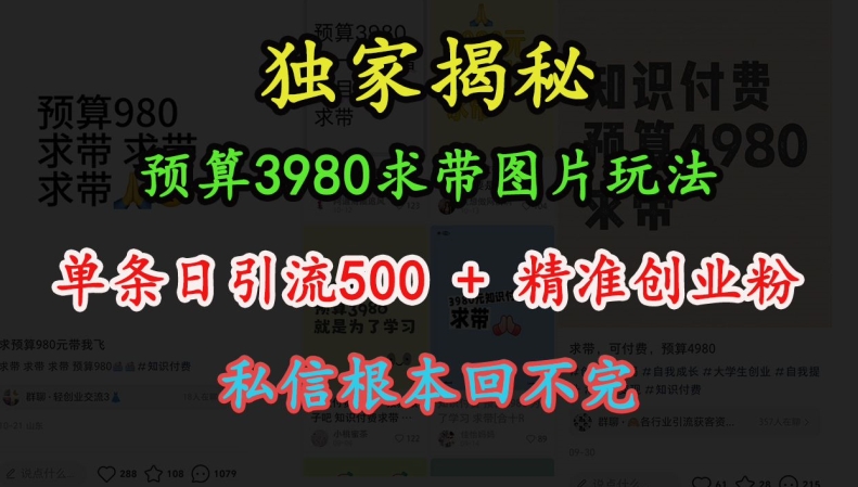 预算3980求带 图片玩法，单条日引流500+精准创业粉，私信根本回不完-梦帆创业网