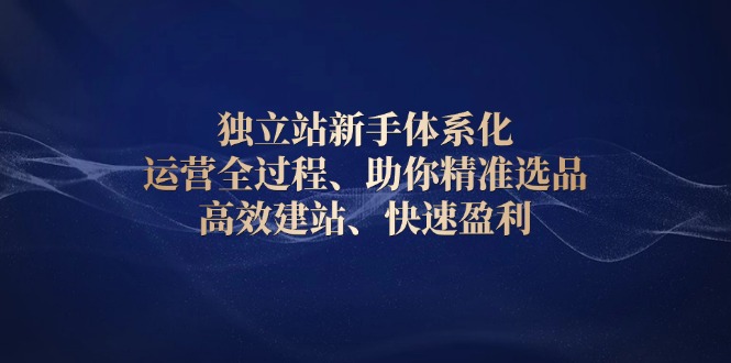 （13914期）独立站新手体系化 运营全过程，助你精准选品、高效建站、快速盈利-梦帆创业网