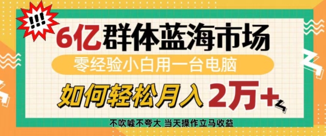 6亿群体蓝海市场，零经验小白用一台电脑，如何轻松月入过w【揭秘】-梦帆创业网