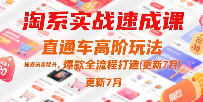 （15374期）淘系实战速成课，直通车高阶玩法，搜索流量提升，爆款全流程打造(更新7月)-梦帆创业网