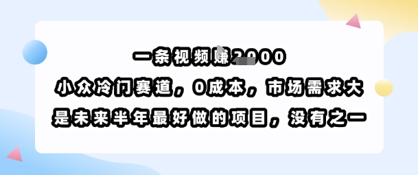 一条视频挣1k，小众冷门赛道，0成本，市场需求大，是未来半年最好做的项目，没有之一-梦帆创业网