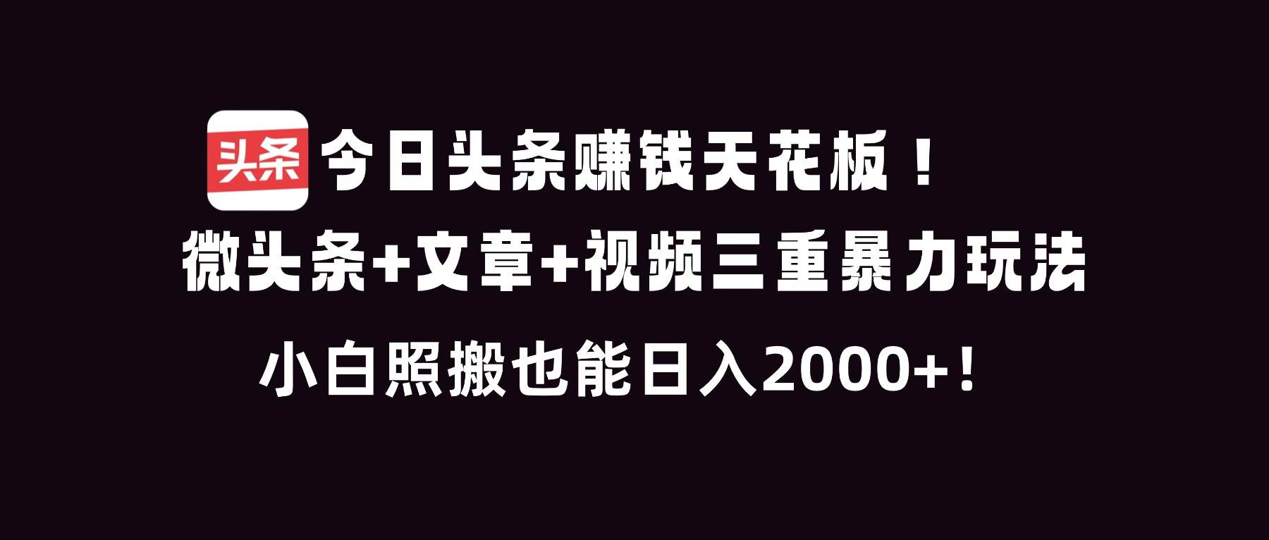 （16888期）今日头条赚钱天花板！微头条+文章+视频三重暴利玩法，小白照搬也能日人2000+-梦帆创业网