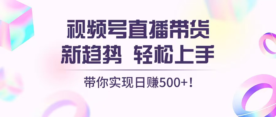 （13370期）视频号直播带货新趋势，轻松上手，带你实现日赚500+-梦帆创业网