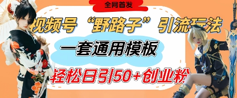 视频号“野路子”玩法，评论区疯狂截流，一套模板单日单号引流50+创业粉-梦帆创业网