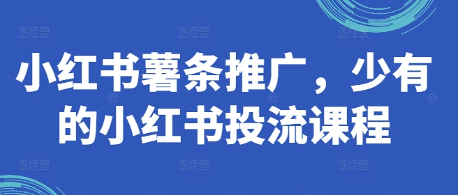 小红书薯条推广，少有的小红书投流课程-梦帆创业网