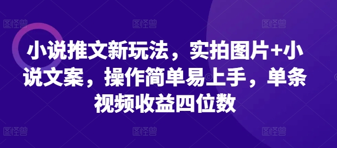 小说推文新玩法，实拍图片+小说文案，操作简单易上手，单条视频收益四位数-梦帆创业网
