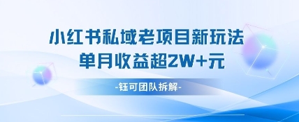 小红书私域项目新玩法，单月变现过W+-梦帆创业网