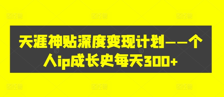 ip300-梦帆创业网