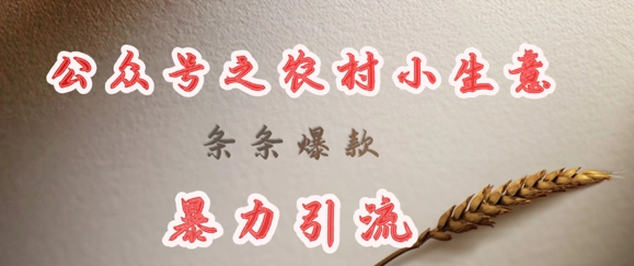 deepseek写农村小项目，条条爆款，暴力引流-梦帆创业网