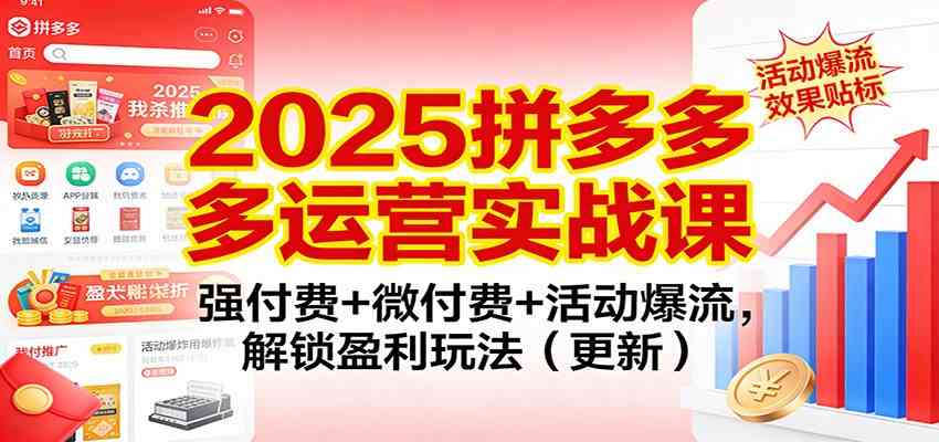 2025拼多多运营实战课：强付费+微付费+活动爆流，解锁盈利玩法（更新）-梦帆创业网