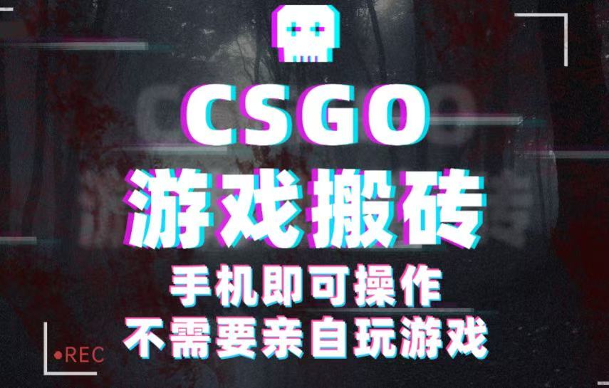 CSGO游戏挂机捡漏，单日扫货500+，年底小高峰上车可吃肉，手机即可操作兼职副业-梦帆创业网