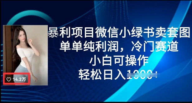 暴利项目微信小绿书卖套图，单单纯利润，冷门赛道， 小白可操作，轻松日入多张-梦帆创业网