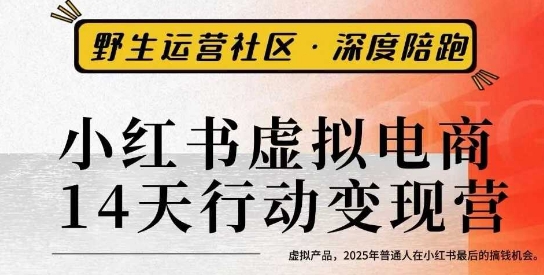 小红书虚拟电商14天变现训练营3.0，虚拟产品，2025年普通人在小红书最后的搞钱机会-梦帆创业网