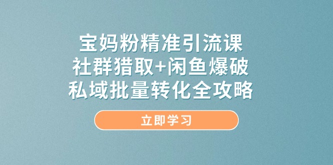 宝妈粉精准引流课，社群猎取+闲鱼爆破，私域批量转化全攻略-梦帆创业网