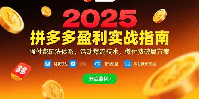 （15357期）拼多多盈利实战指南，强付费玩法，活动爆流技术，微付费破局方案(更新7月)-梦帆创业网
