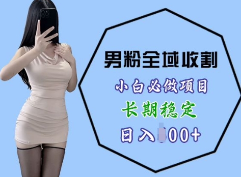 男粉项目全域收割，小白必做项目，长期稳定，稳定日入几张-梦帆创业网