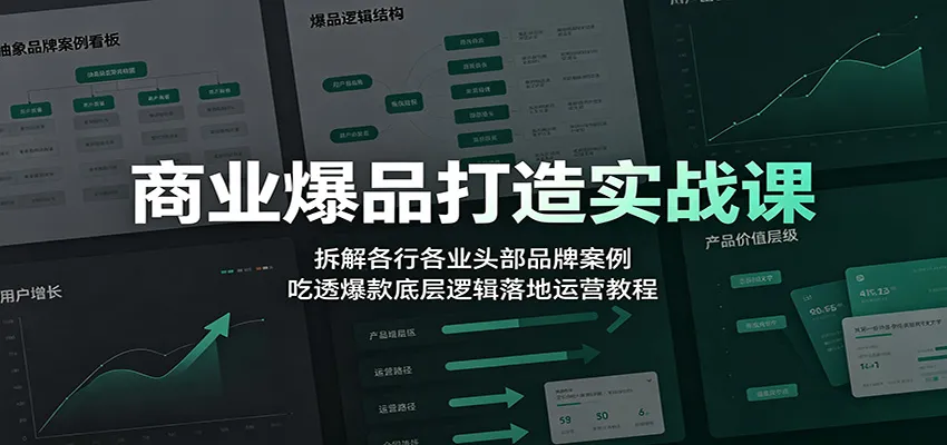 商业爆品打造实战课：拆解各行各业头部品牌案例，吃透爆款底层逻辑落地运营教程-梦帆创业网