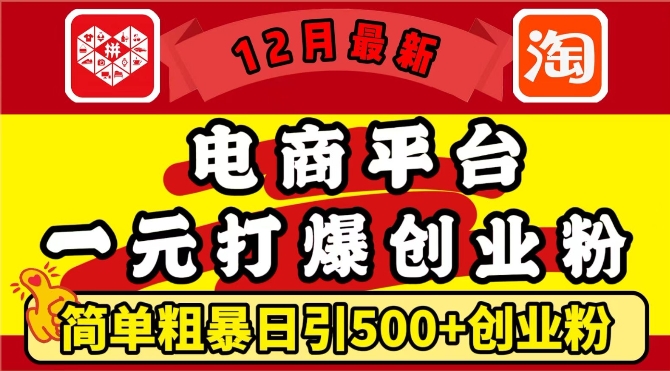 12月最新：电商平台1元打爆创业粉，简单粗暴日引500+精准创业粉，轻松月入过W【揭秘】-梦帆创业网