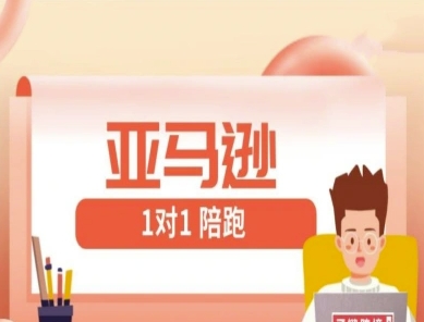 亚马逊1对1陪跑课(FBA/FBM精铺)跨境亚马逊教程-梦帆创业网