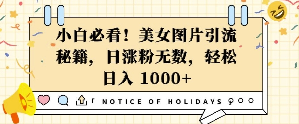 小白必看，美女图片引流秘籍，日涨粉无数，轻松日入几张【揭秘】-梦帆创业网