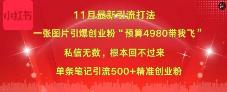 小红书11月最新图片打粉，一张图片引爆创业粉，“预算4980带我飞”，单条引流500+精准创业粉-梦帆创业网