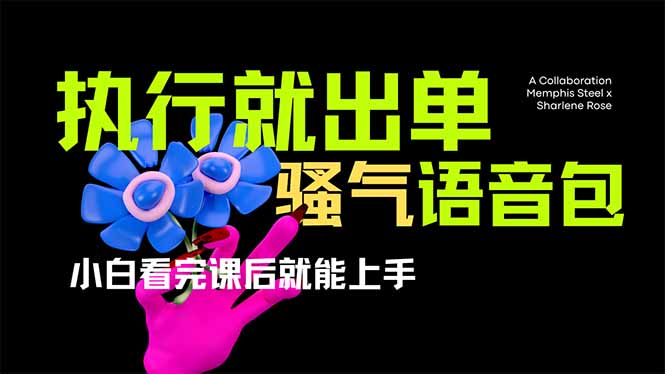 爆火全网的开车导航骚气语音包,只要执行就出单，小白看完课程就能实操…-梦帆创业网