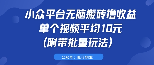 小众平台无脑搬砖撸收益 单个视频平均10元 (附带批量玩法)-梦帆创业网