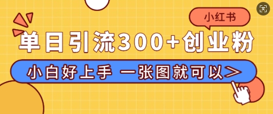 小红书单日引流300+创业粉，“简单粗暴”引流法，小白好上手，私信回不完-梦帆创业网