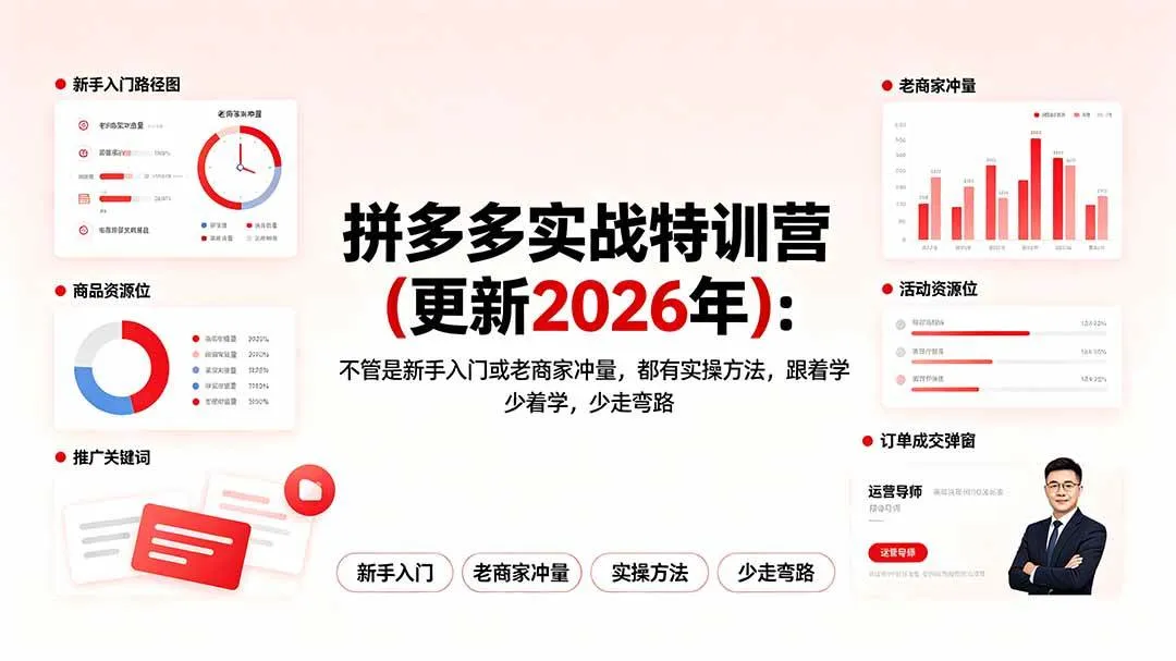 （19291期）拼多多实战特训营(更新2026年)：不管是新手入门或老商家冲量，都有实操方法，跟着学，少走弯路-梦帆创业网