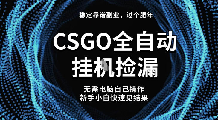 【稳定副业】全球最热门游戏CSGO全自动捡漏，最新玩法，新手小白日入5张+【揭秘】-梦帆创业网