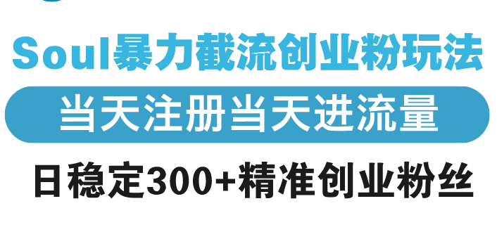 （13935期）Soul暴力截流创业粉玩法，当天注册当天进流量，日稳定300+精准创业粉丝-梦帆创业网