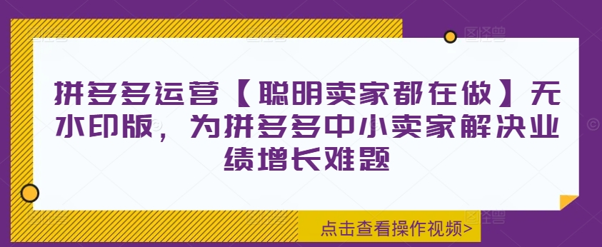 拼多多运营【聪明卖家都在做】无水印版，为拼多多中小卖家解决业绩增长难题-梦帆创业网